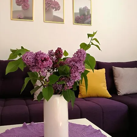 Lilac Apartment *