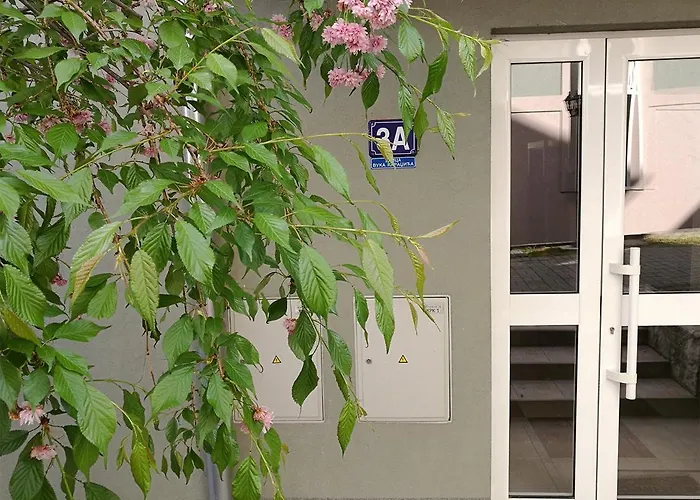 Lilac Vrnjačka Banja